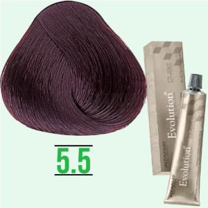 Alfaparf Evolution of the Color mahogany and chocolate tones 60 ml.